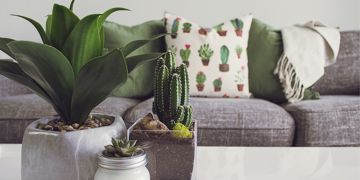 How to make a rental property feel like home