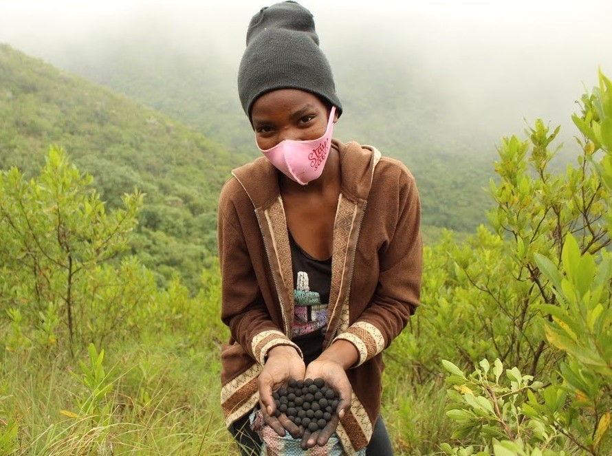 Tree planting in Kenya