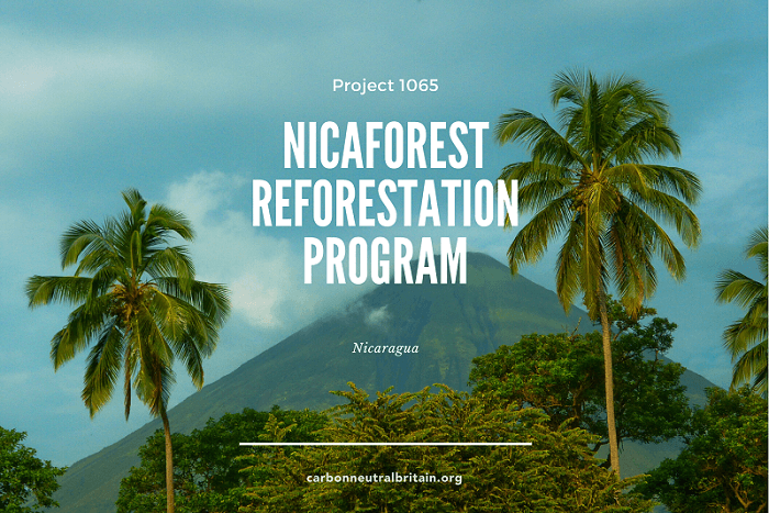 Nicaforest Reforestation Program is one of the Carbon Offsetting projects supported by The Letting Game