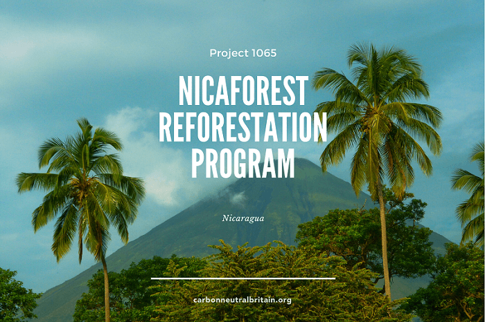 The Letting Game supporting carbon offsetting projects like the Nicaforest reforestation program