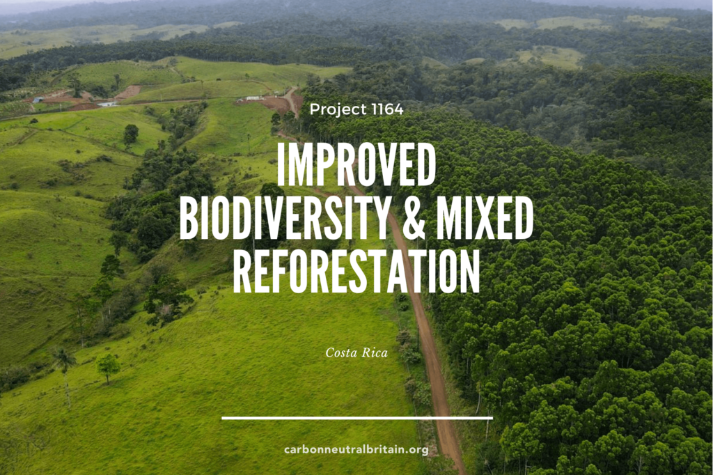 Improved biodiversity & mixed reforestation in Costa Rica - one of the carbon offsetting projects we support via Carbon Neutral Britain